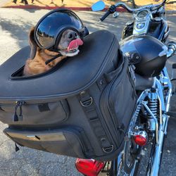 Kuryakyn Grand Pet Palace: Motorcycle Dog/Cat Carrier Crate
