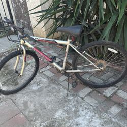 Bike 