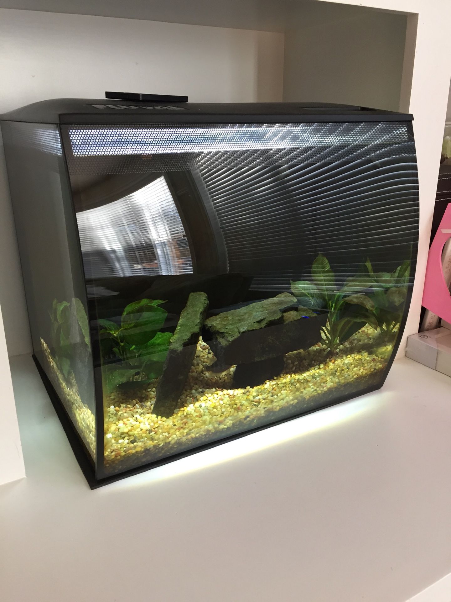 Fluval flex 15 gallon plus lot of accessories