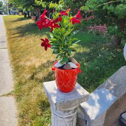 Indoor/ Outdoor Flower Arangments Vases & Yard Items...all For Only $65