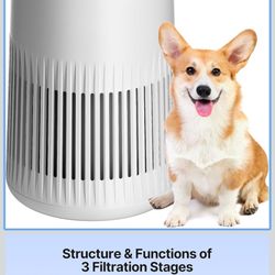 Air Purifiers for Bedroom Home, Air Purifier for Smoke Odors with Fragrance Sponge, Small Air Purifier with Sleep Mode for Bedroom Office, Blue Night