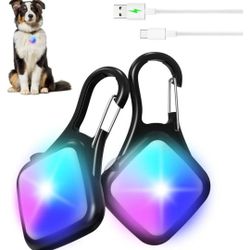 Luces Para Pasear A Tu Perrito