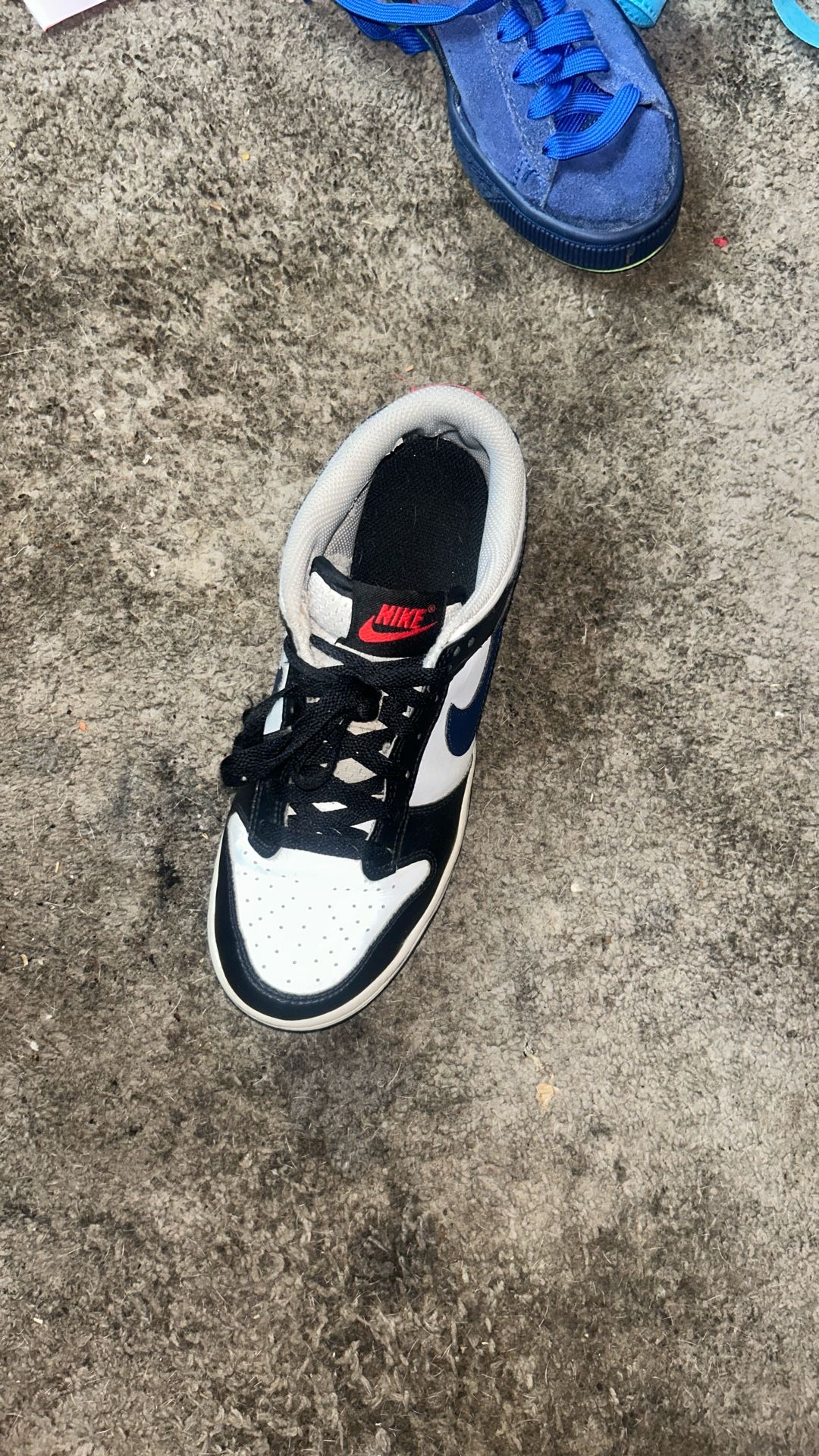 Easy Cleanable Nike Dunks