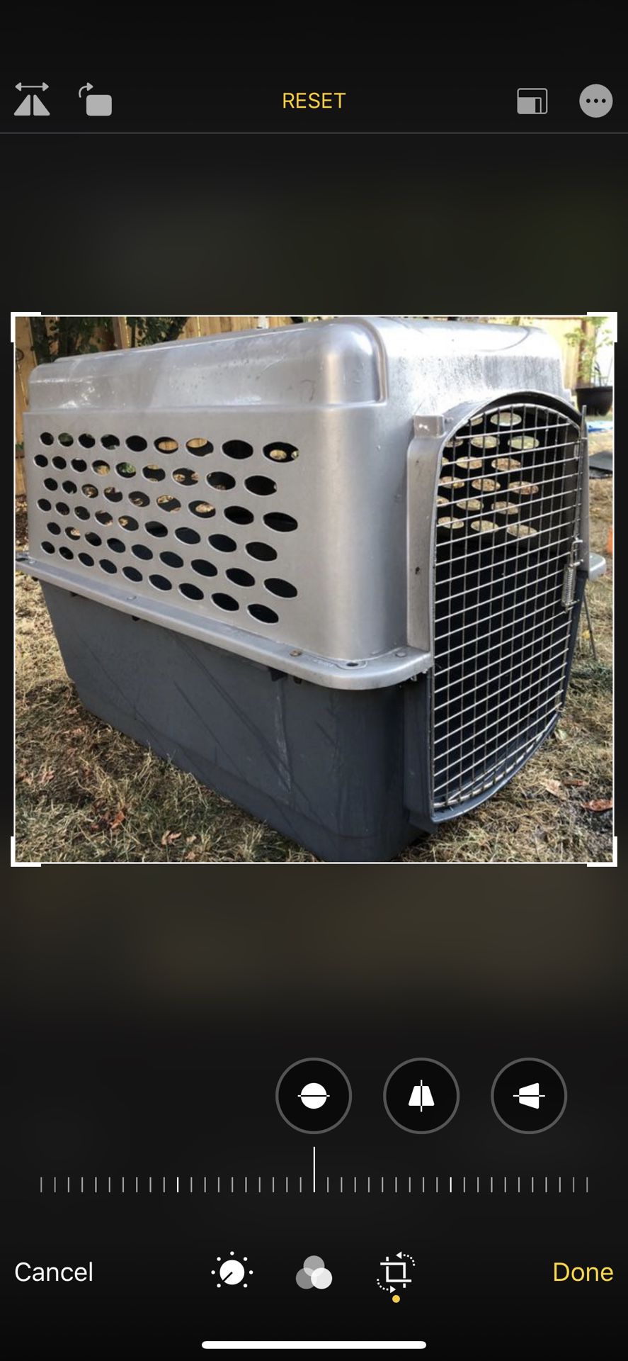 Large dogs kennel