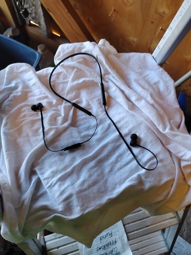 Beats Earbuds