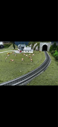 Custom made train table … lots of extra cars and options