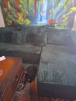 Green Sofa Couch