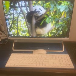 Dell All In one Computer