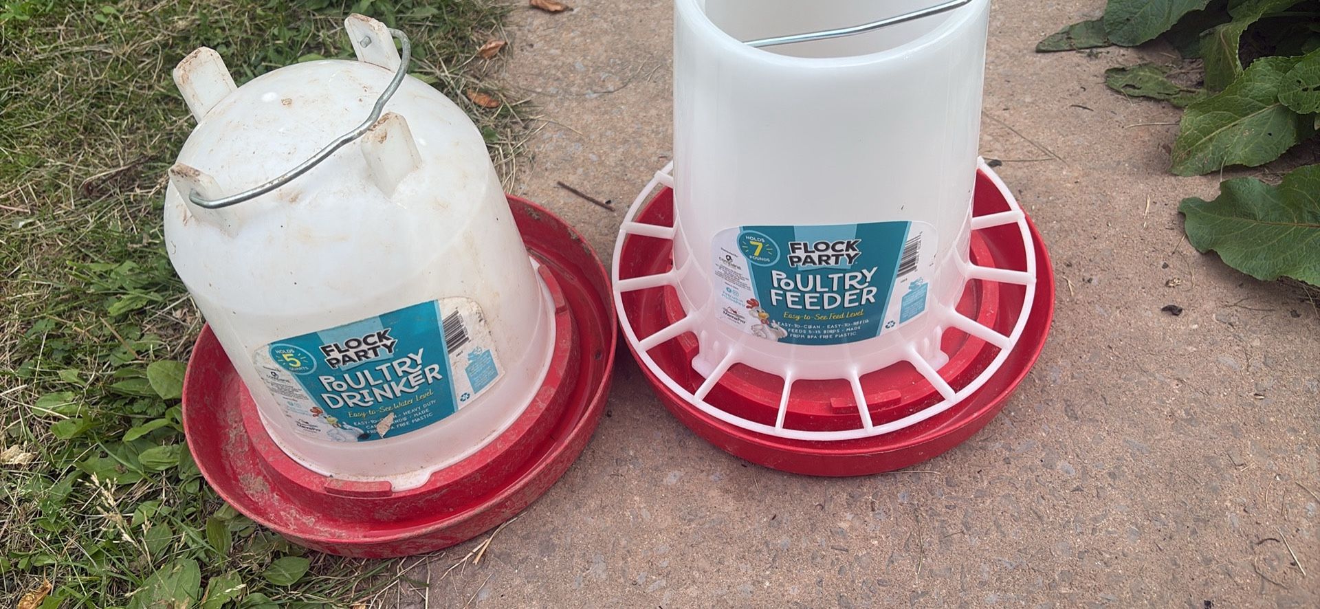 Chicken Feeder And Water Bowls