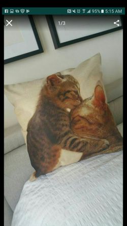 Cat Kitten Decorative Pillow Couch Bed Chair Table