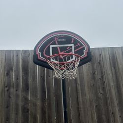 Lifetime Basketball Hoop