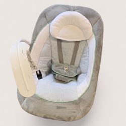 Ingenuity Sway Swing