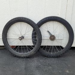20" Coaster Wheels