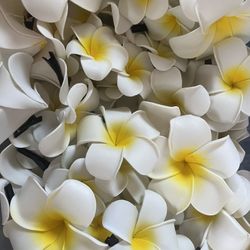 Flower hair clips 12 for $8