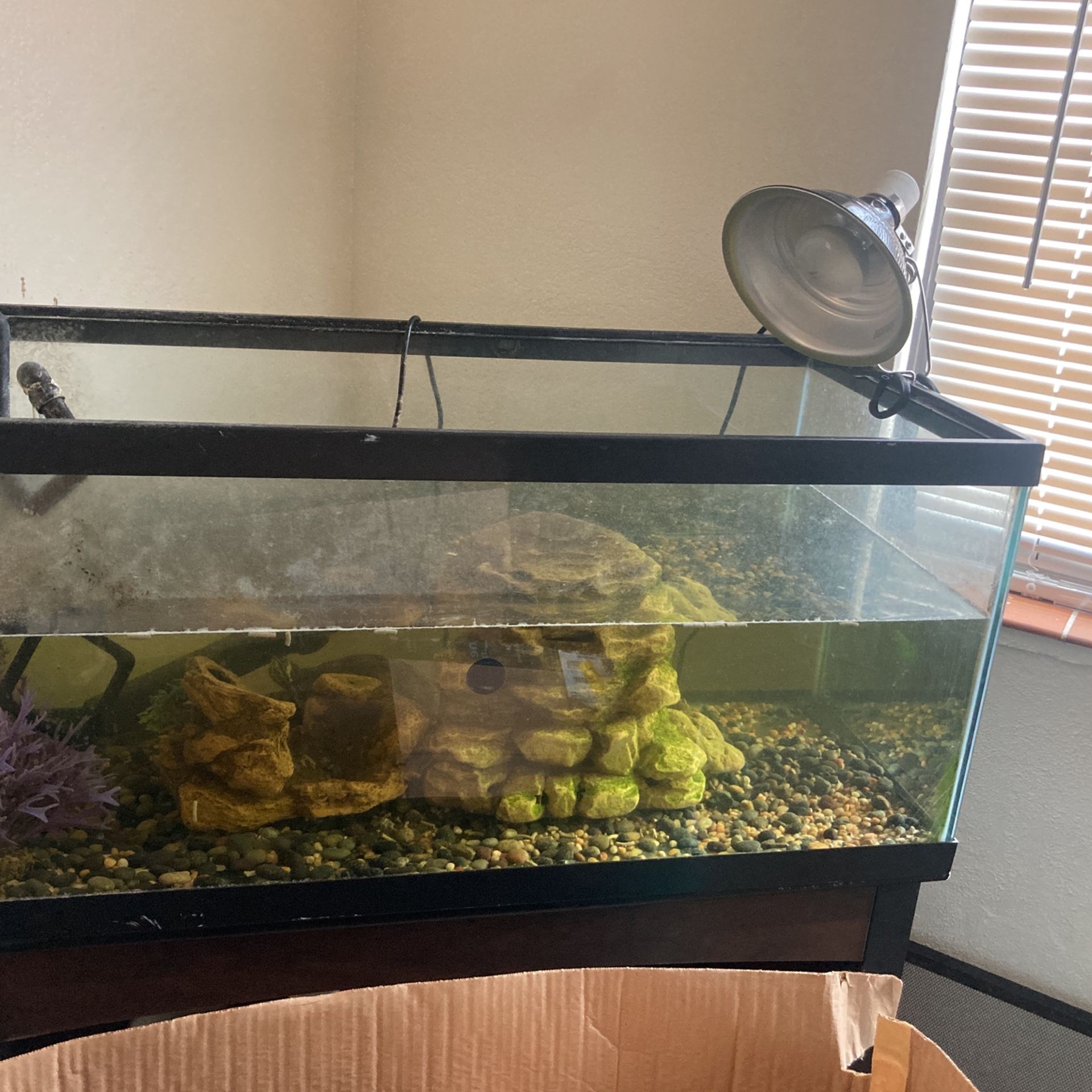 Tank With Stand-moving Need To Sell