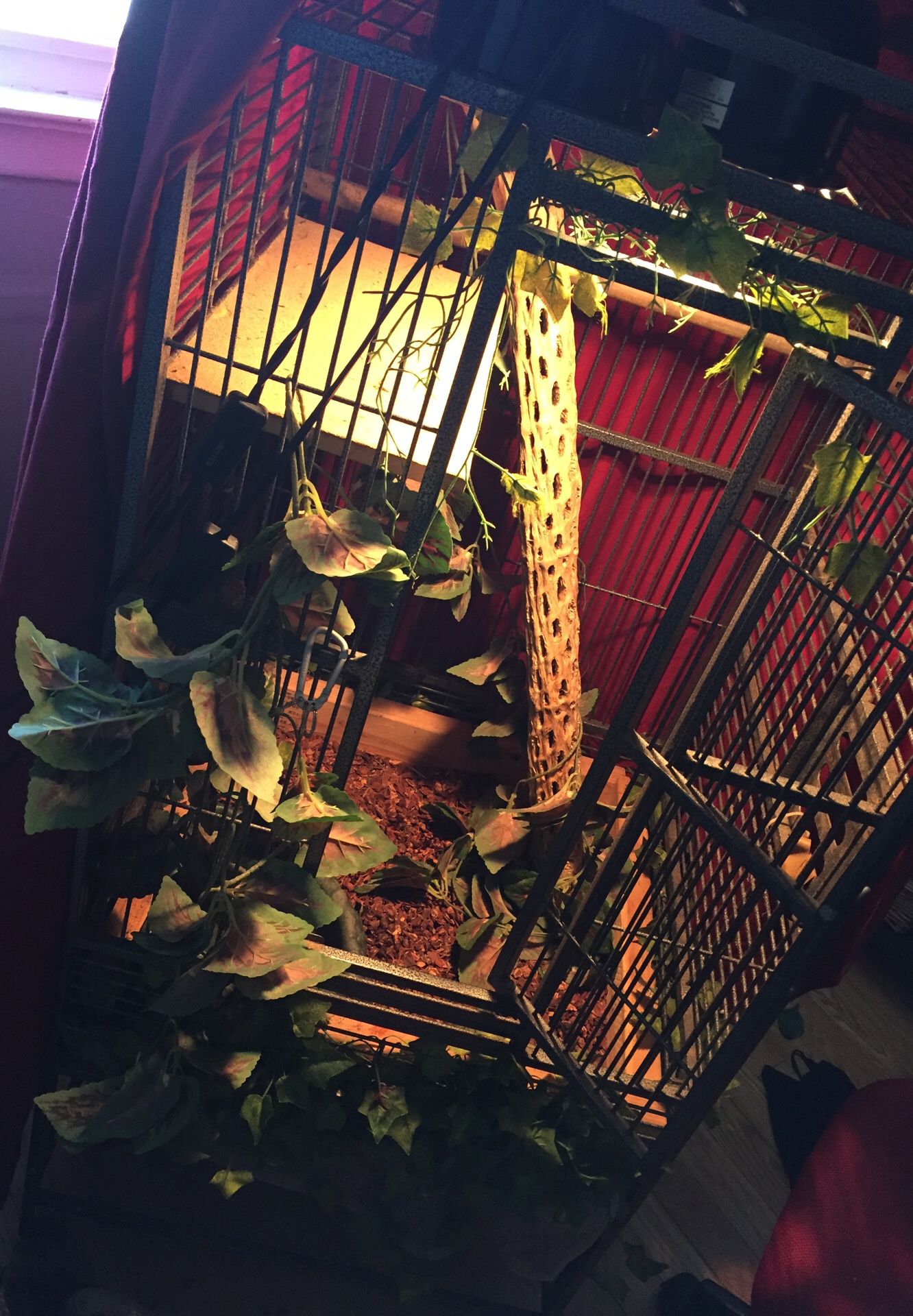 Bird/Reptile Cage (Ideal for birds or small lizards)