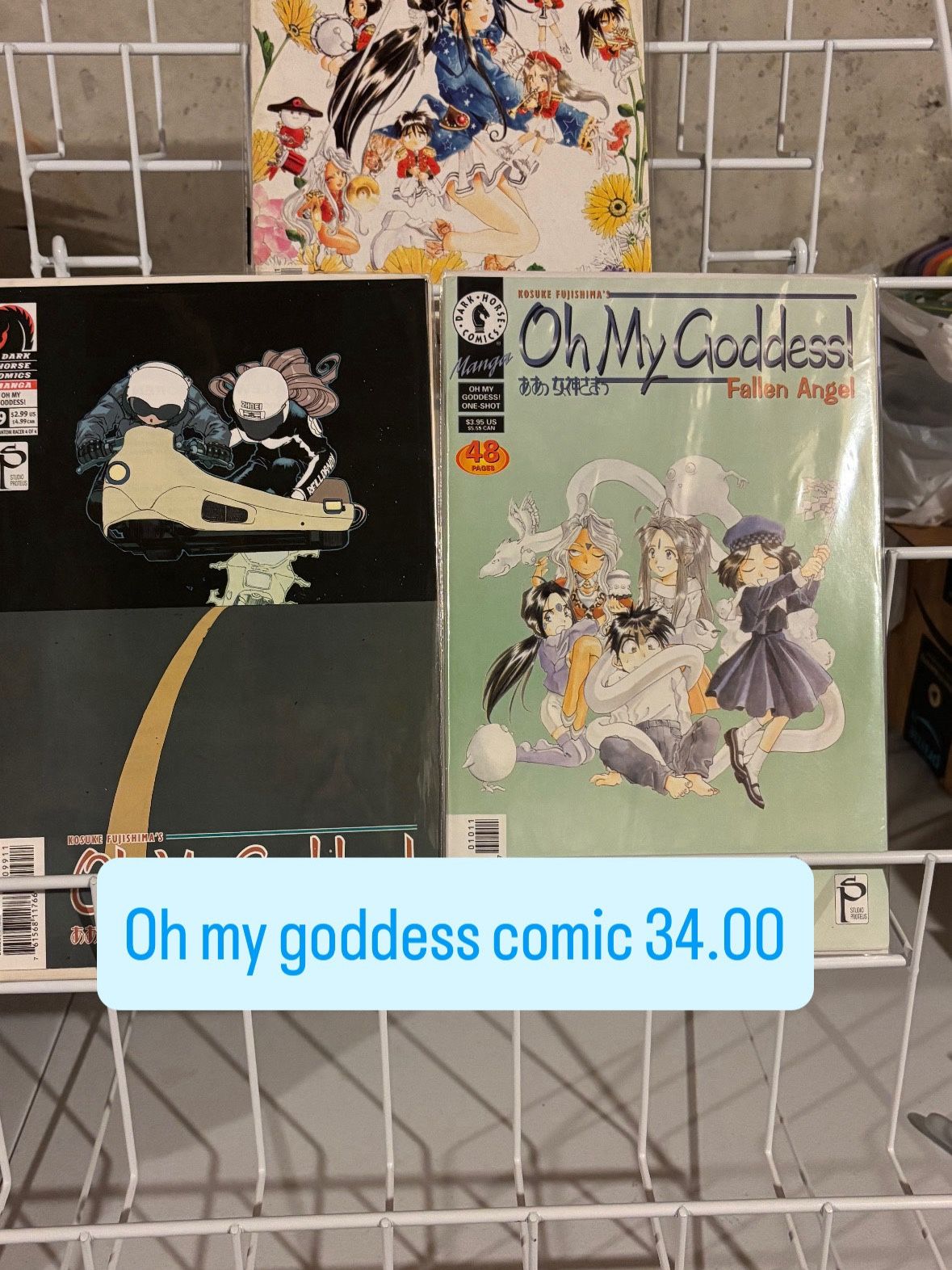 Oh No my Goddess Comic