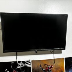 Flat Screen Almost New