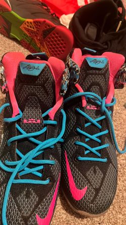 LeBron 12s 5.5Y