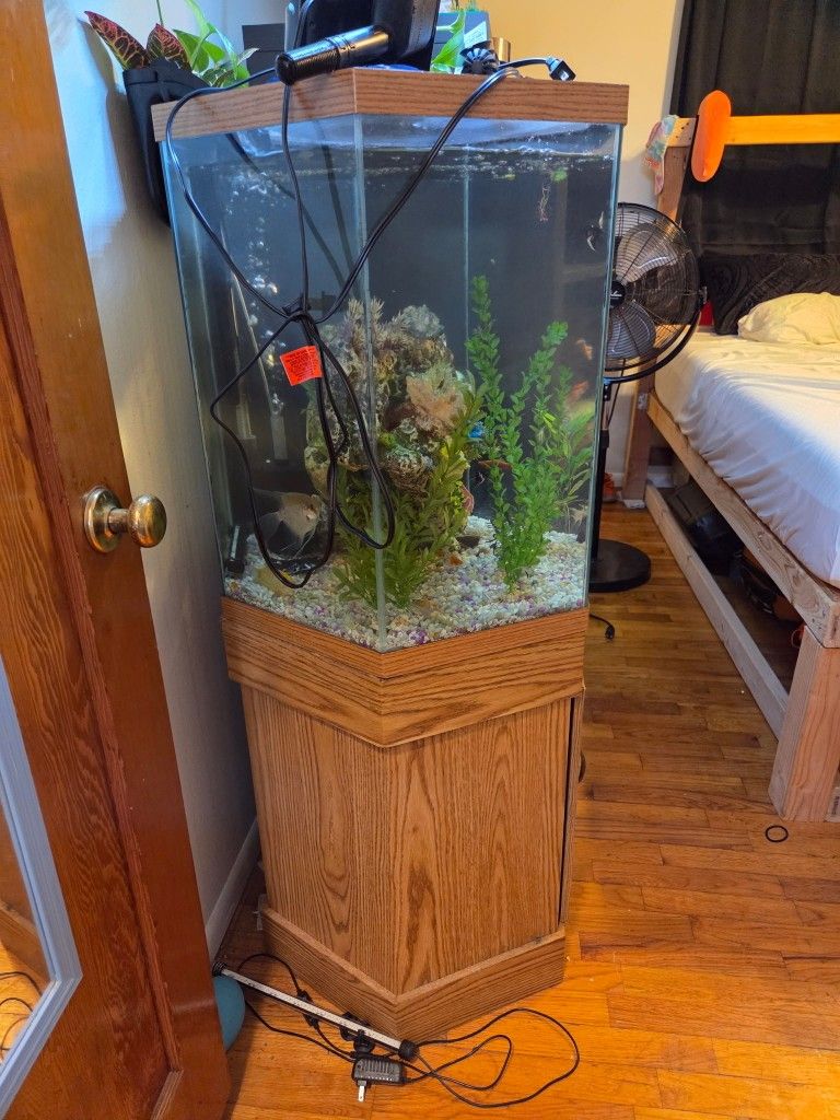 Hexagon Aquariums