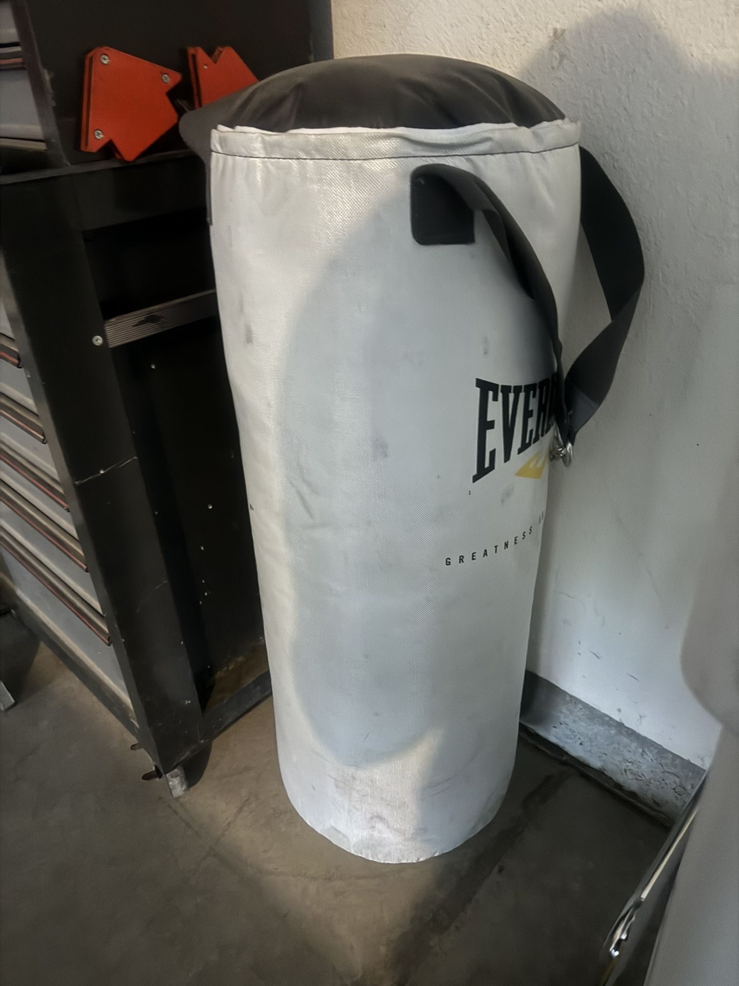 Everlast Punching hanging bag