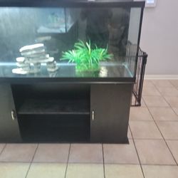 Fish Tank 110 Gallons 
