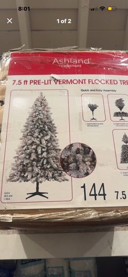 Ashland Christmas tree