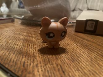 lps cat littlest pet shop