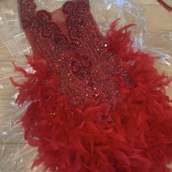 Red Diamond Feathers Dress
