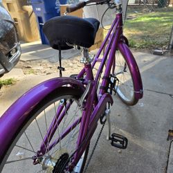 Schwinn Mifflin 24"