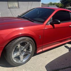 Ford Mustang Cobra (2001)