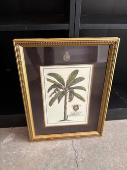 Botanical Banana Tree Framed Print in Gold Frame