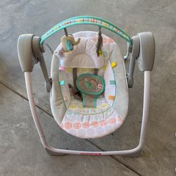 Baby Swing