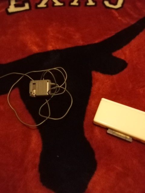 Nintendo DS