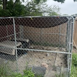 Dog Kennel 