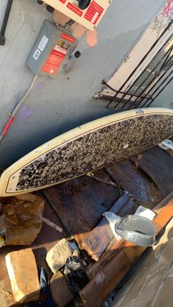 Surfboard