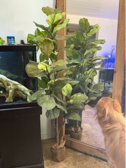 Faux fiddle tree decor