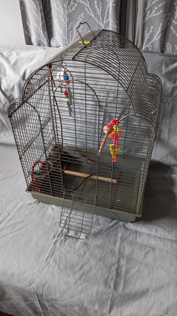 Bird Cage