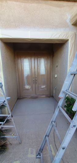 PROFESSIONAL PAINTING