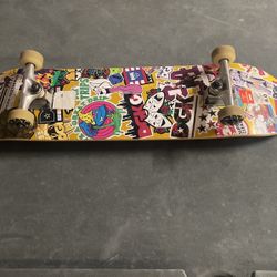 DGK Stix 8.0 skateboard