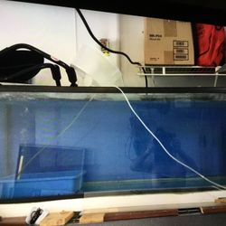 Aquarium 55 g And Filter 