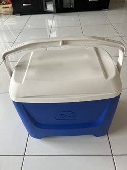 Igloo Cooler