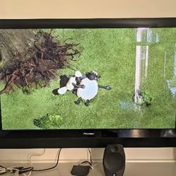 Tv Pionner 60"