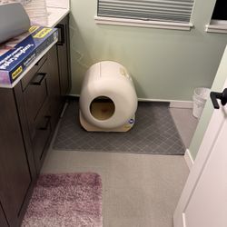 Automatic Cat Litter Box - Furrytail