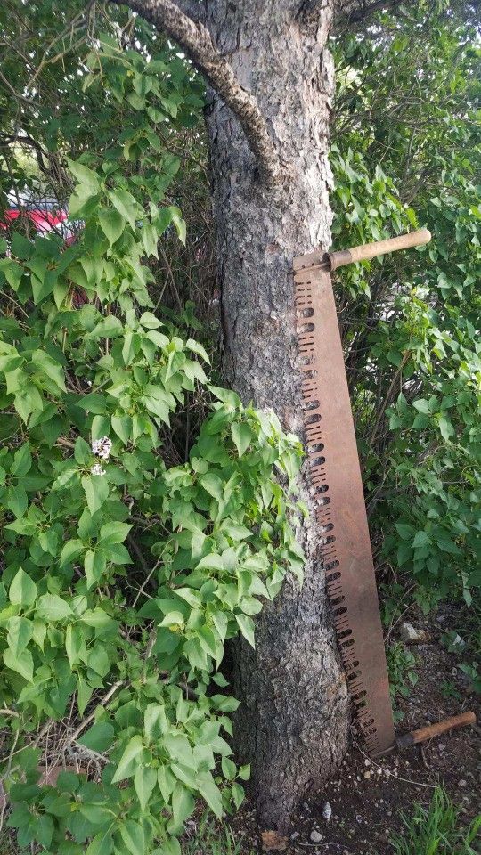 Vintage Antique CRAFTSMAN 2 Man Crosscut Logging Saw $175
