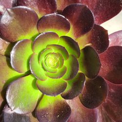 Plant Sale Check Out My Page 😄