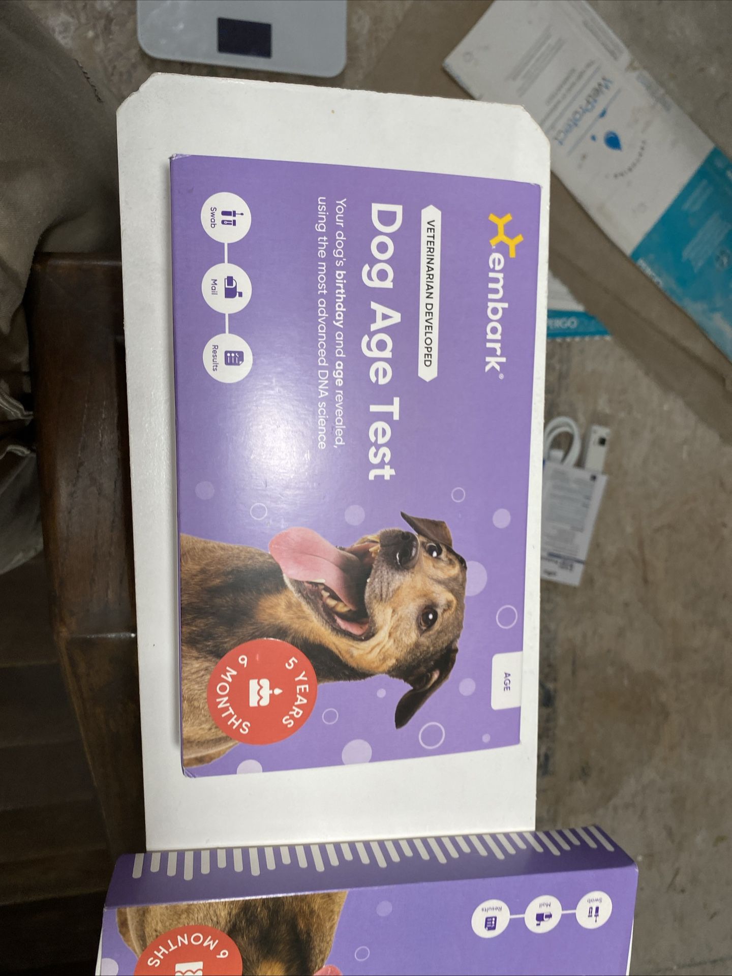 Dog Age Test