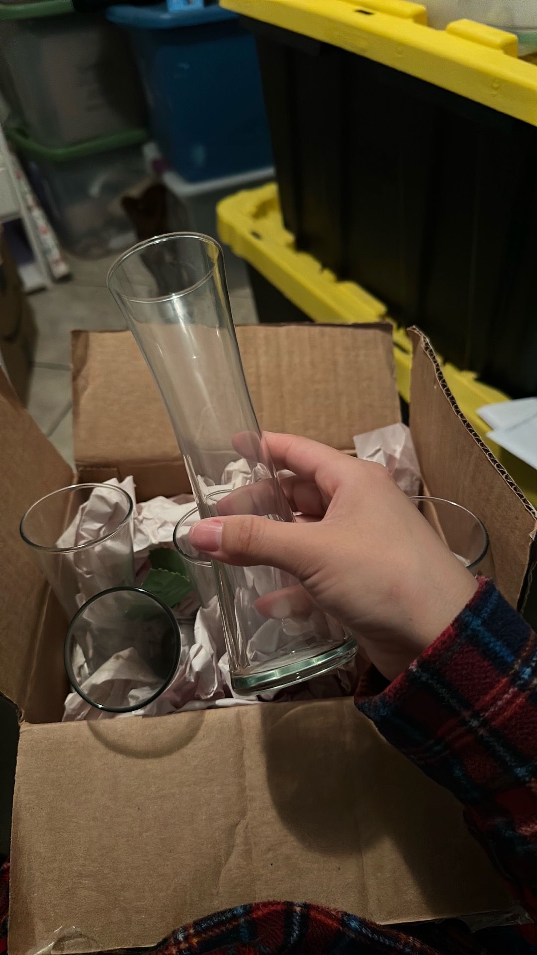 Glass Vases