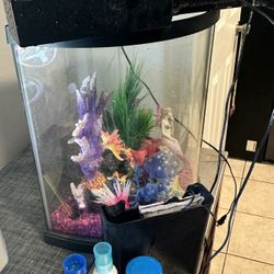 Fish Aquarium 