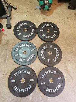 100lbs rogue fitness echo number bumper Olympic 2" weights